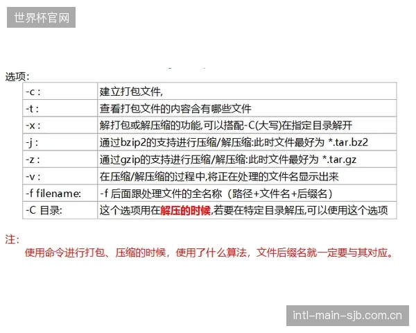 预判：到2027年，基于个人生物力学数据的“运动鞋订阅服务”将出现，彻底改变买断式消费模式